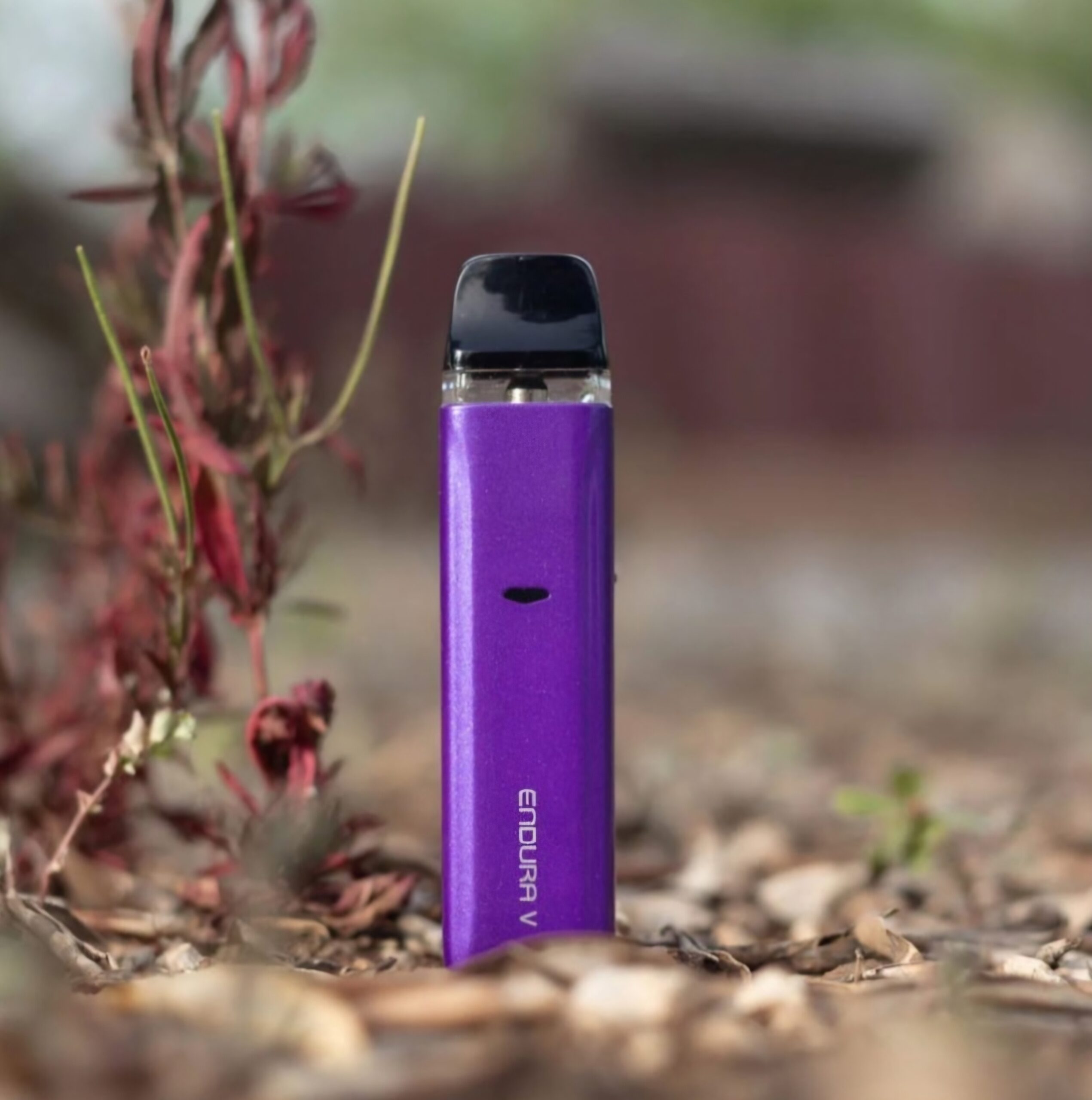 Screenshot_20240710_185904_Instagram Screenshot 20240710 185904 Instagram scaled